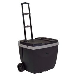 Caixa_Trmica_Mor_42_Litros_com_Ala_Preta_1054931