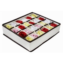 Organizador_de_Peas_ntimas_com_24_Lugares_Secalux_200720